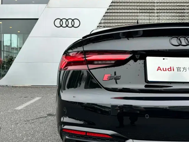 Audi S5 — Фото автомобиля 17
