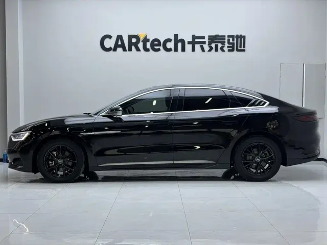 BYD Han — Фото автомобиля 8
