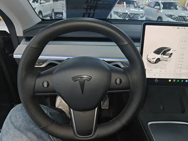 Tesla Model Y — Фото автомобиля 10