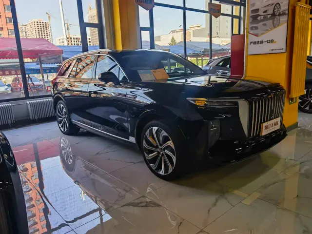 Фотография автомобиля — Hongqi E-HS9