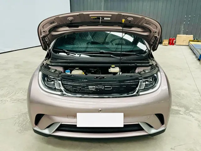 BYD Dolphin — Фото автомобиля 12
