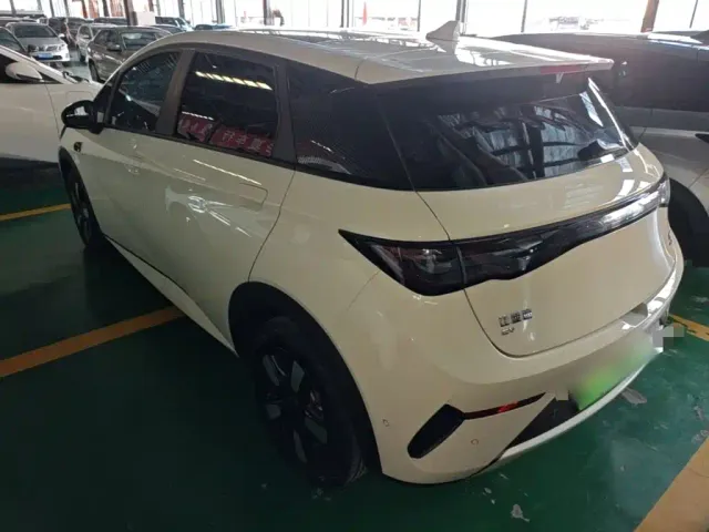 BYD Dolphin — Фото автомобиля 4
