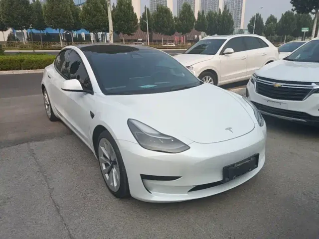 Tesla Model 3 2021 Standard Range Rear-Wheel Drive Upgrade 3D6 — Фото автомобиля 3