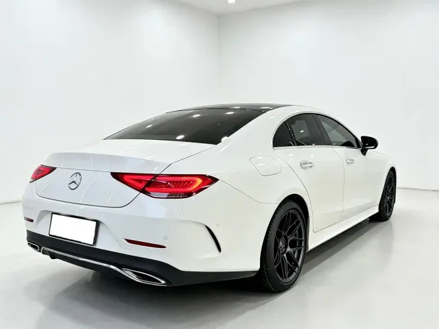Mercedes-Benz CLS-Class — Фото автомобиля 10