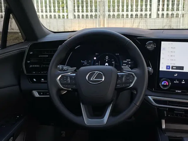 Lexus RX — Фото автомобиля 12