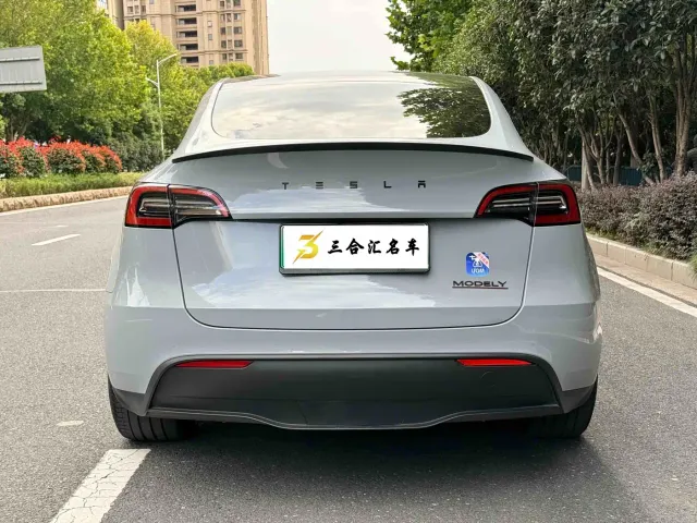 Tesla Model Y — Фото автомобиля 9