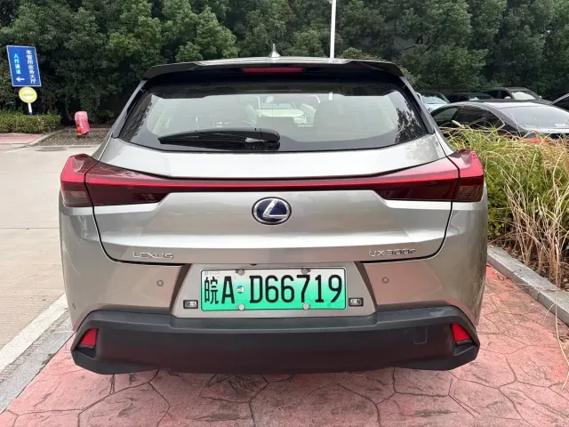 Lexus Lexus UX Electric 2020 300e Pure Enjoyment Edition — Фото автомобиля 7