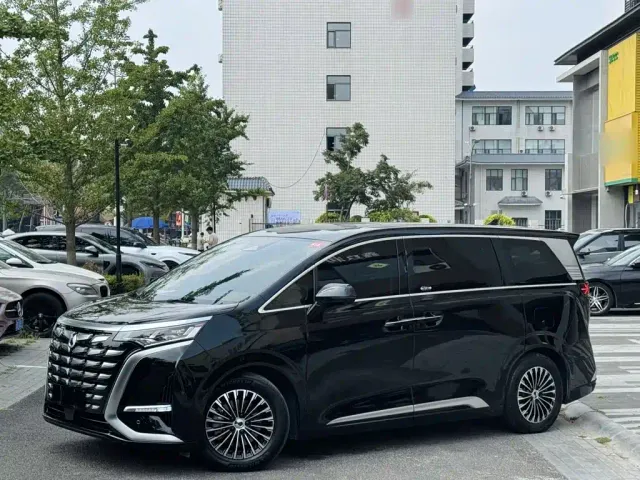 Фотография автомобиля — Denza D9