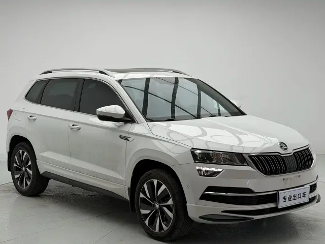 Skoda Karoq — Фото автомобиля 3