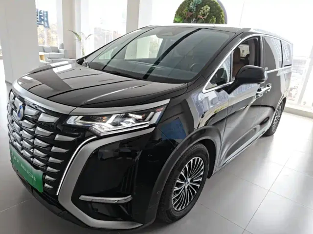 Фотография автомобиля — Denza D9
