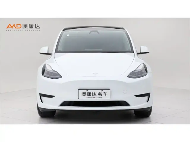 Tesla Model Y — Фото автомобиля 2