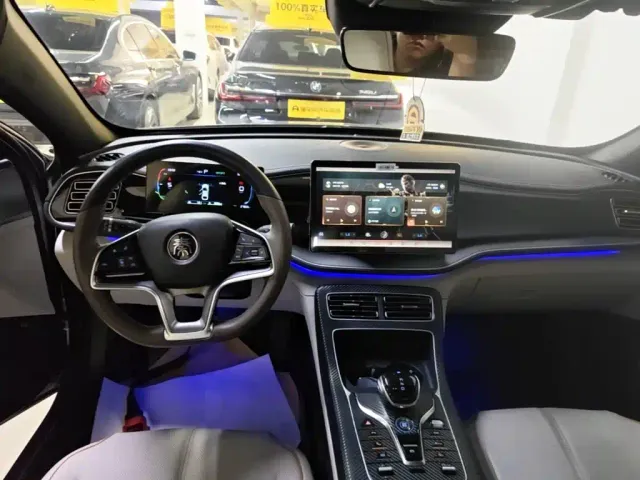 BYD Qin PLUS — Фото автомобиля 12