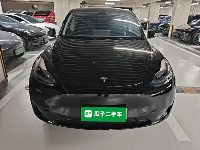 Tesla Model Y — Фото автомобиля 2