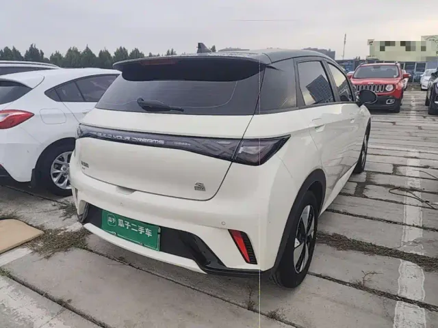 BYD Dolphin — Фото автомобиля 6