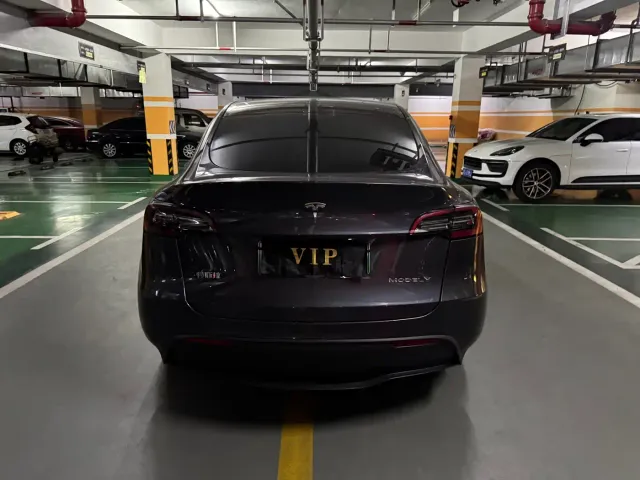Tesla Model Y — Фото автомобиля 10