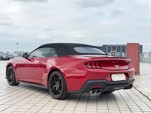 Ford Mustang — Фото автомобиля 14