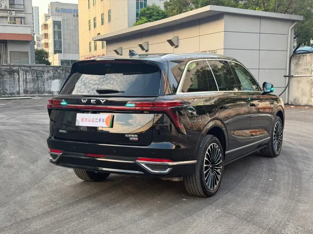 Wey Lanshan — Фото автомобиля 14