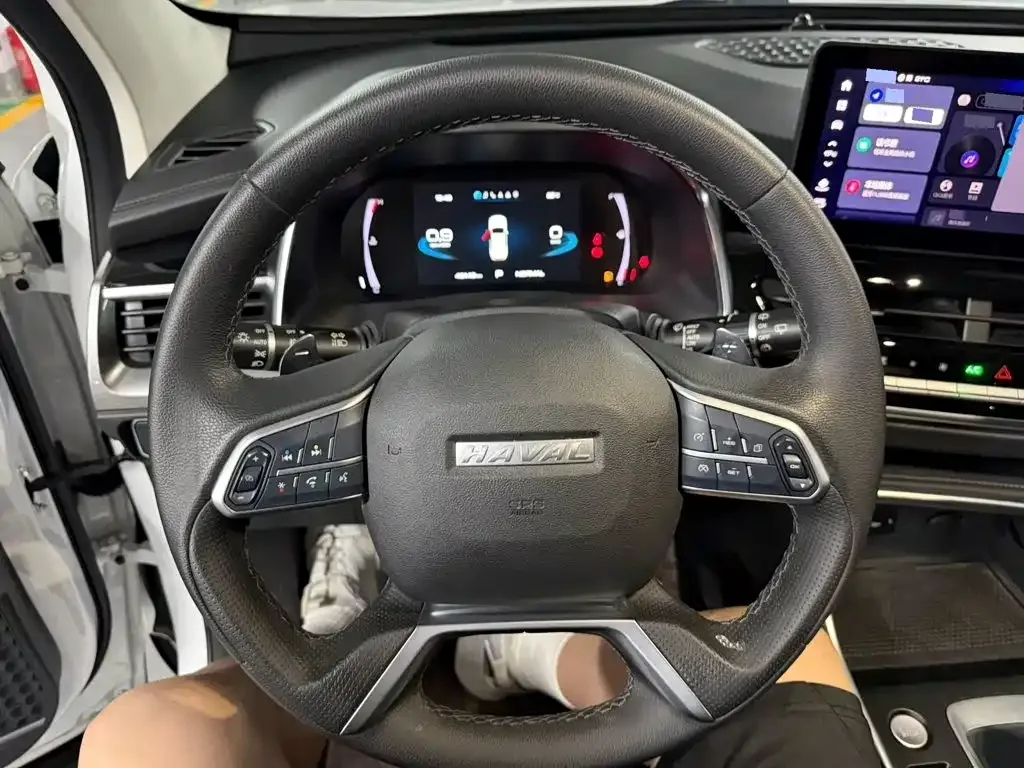 Haval Haval H6 2021 Model National Trend Edition 1.5T Auto Champion — Фото автомобиля 8