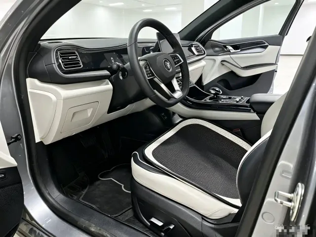 BYD Qin PLUS — Фото автомобиля 6