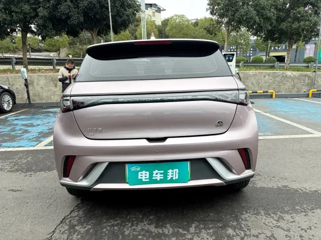 BYD Dolphin — Фото автомобиля 8
