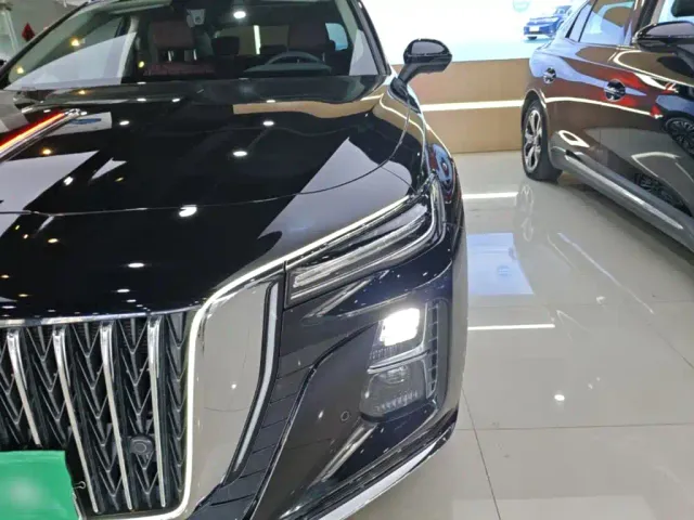 Hongqi H5 — Фото автомобиля 23