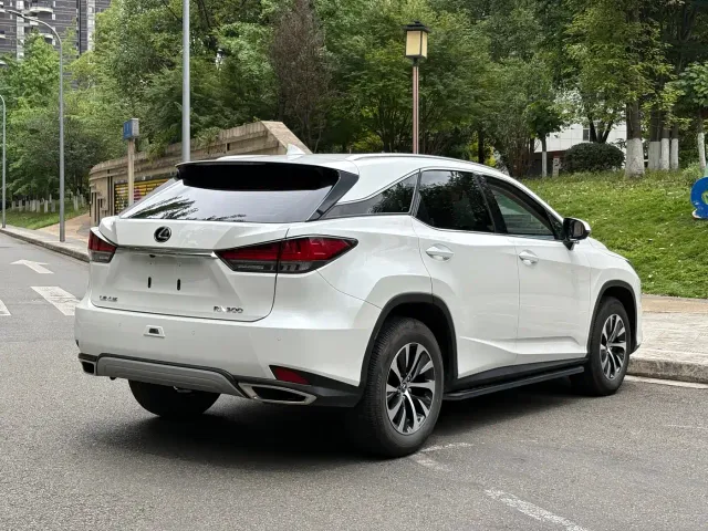 Lexus RX — Фото автомобиля 16