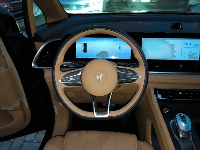 Voyah Auto Voyah Dreamer 2024 PHEV Ultra Long Range Premium Edition — Фото автомобиля 10