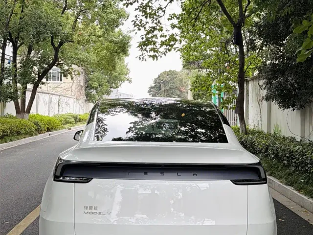 Tesla Model Y — Фото автомобиля 9