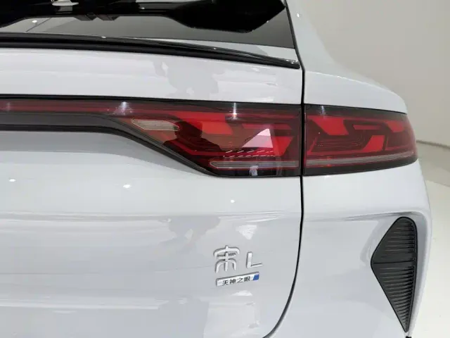 BYD Song L EV — Фото автомобиля 10