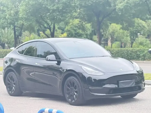 Tesla Model Y — Фото автомобиля 2