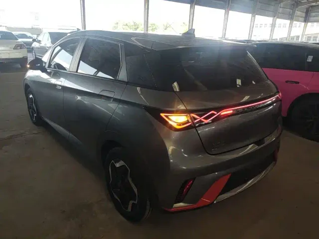 BYD Dolphin — Фото автомобиля 4
