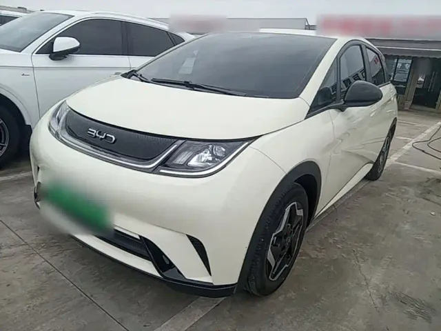 Фотография автомобиля — BYD Dolphin