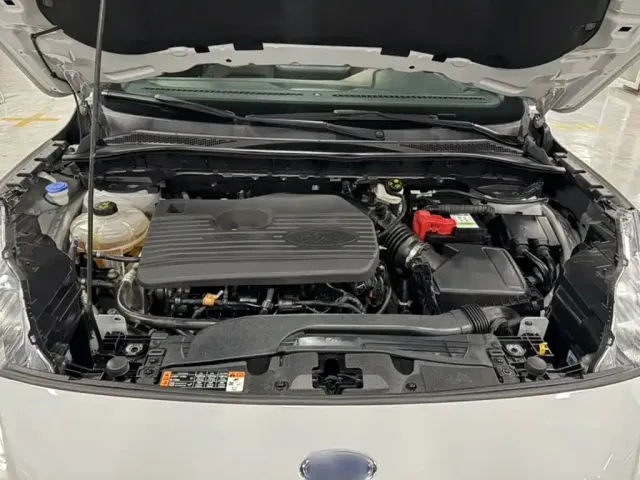 Ford Escape — Фото автомобиля 12
