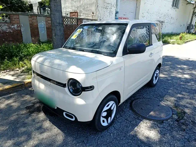 Фотография автомобиля — Geely Panda