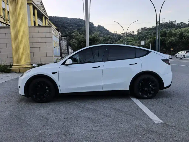 Tesla Model Y — Фото автомобиля 4