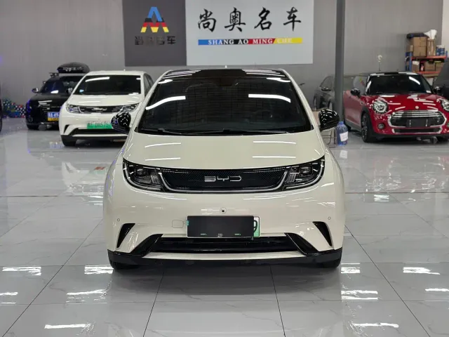 BYD Dolphin — Фото автомобиля 2