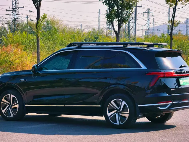 Wey Lanshan — Фото автомобиля 6