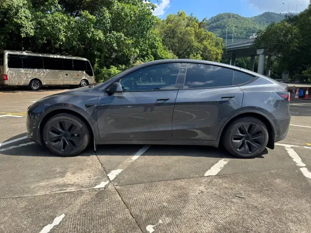 Tesla Model Y — Фото автомобиля 3