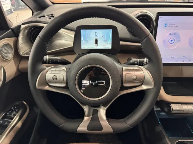 BYD Dolphin — Фото автомобиля 11