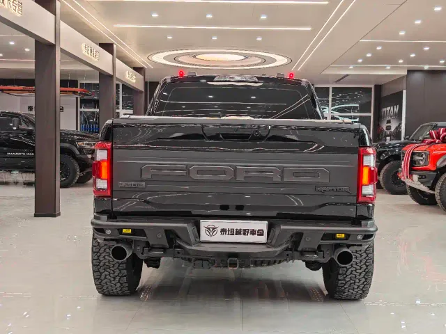 Ford F-150 Raptor — Фото автомобиля 10