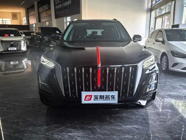 Фотография автомобиля — Hongqi HS5