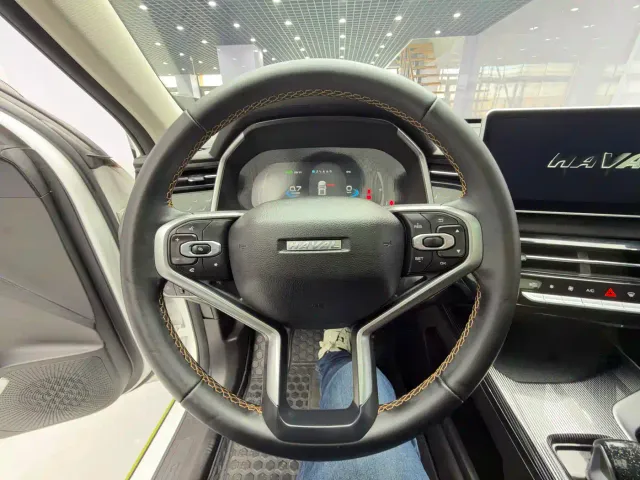Haval Chitu — Фото автомобиля 11