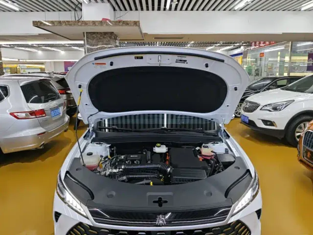 BYD Qin PLUS — Фото автомобиля 19