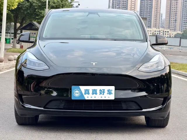 Tesla Model Y — Фото автомобиля 2