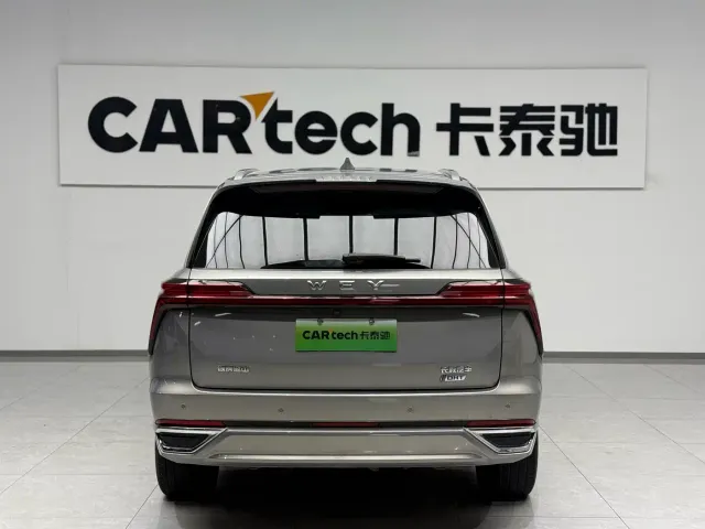 Wey Lanshan — Фото автомобиля 3