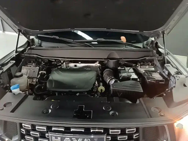Haval Big Dog — Фото автомобиля 19