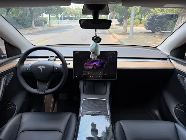 Tesla Model Y — Фото автомобиля 11