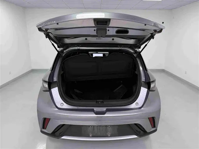 BYD Dolphin — Фото автомобиля 19