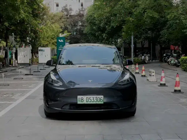 Tesla Model Y — Фото автомобиля 2