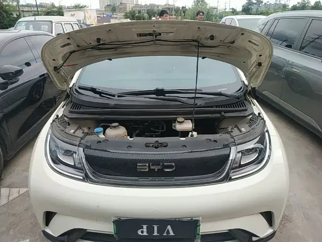 BYD Dolphin — Фото автомобиля 19